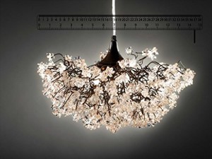 Dining Room Chandeliers