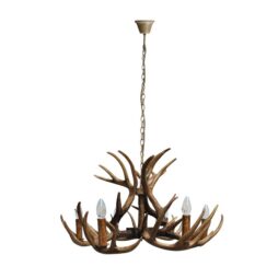 Buckland 6-Light Unique Chandelier