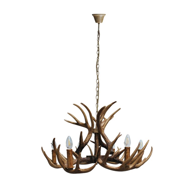 Buckland 6-Light Unique Chandelier